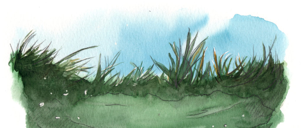 aquatique, bord d'eau à l'aquarelle